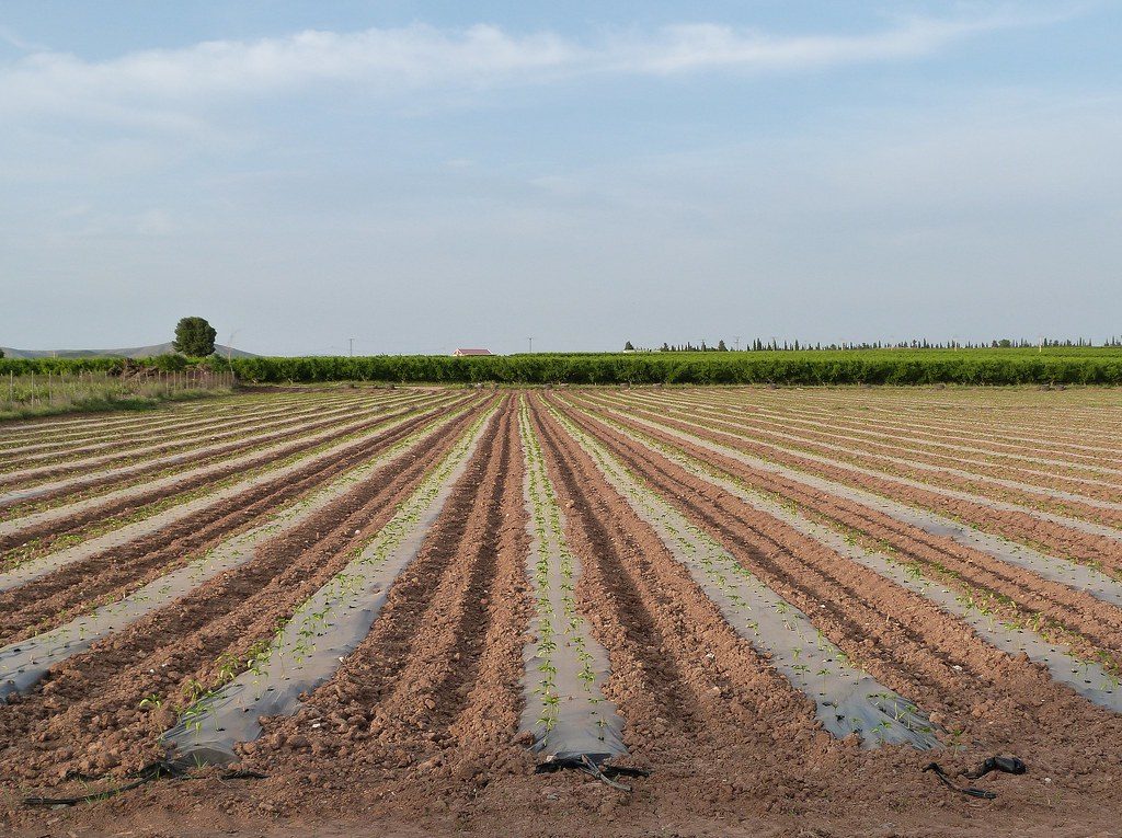 Land Banking and Lease Management