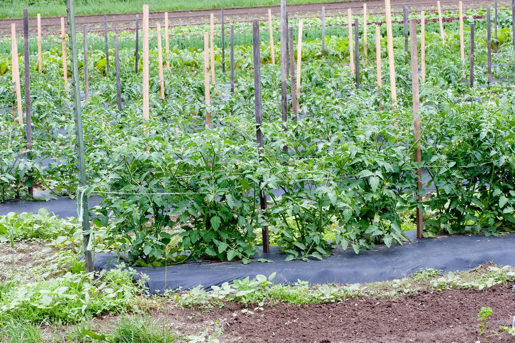 Sustainability and Compliance